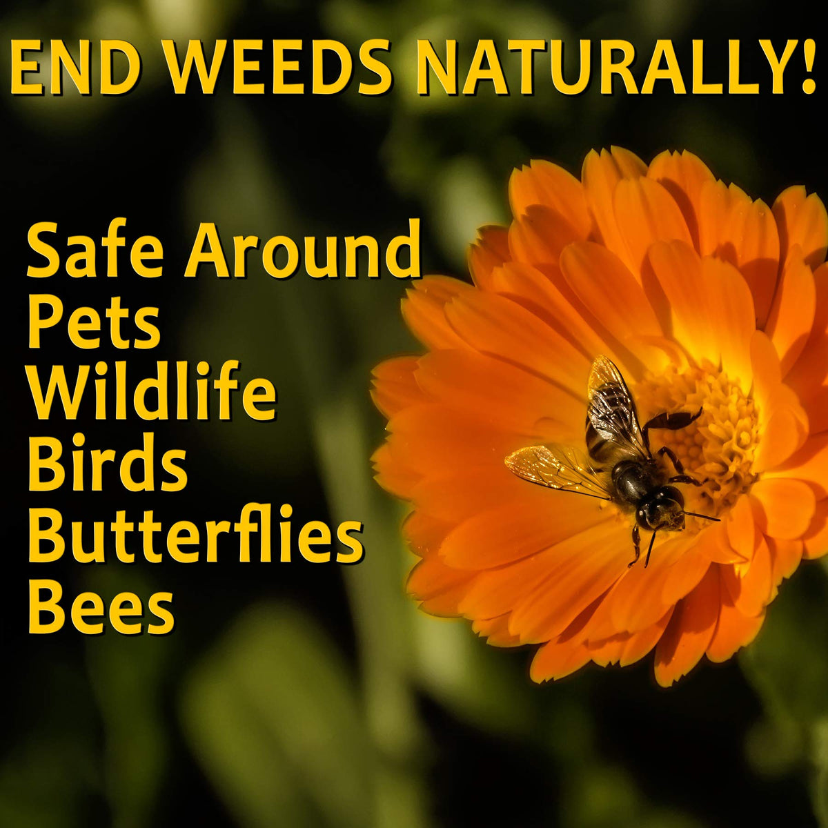 OrganicMatters delivers visible results in under 24 hours in the garden.