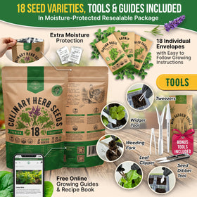 Organo Republic 18 herbs seeds oregano — robust aroma for Italian dishes