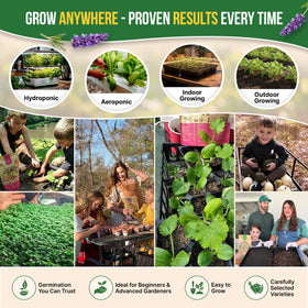Organo Republic 18 herbs seeds parsley — bright greens for fresh garnishes