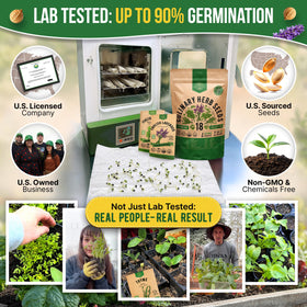 Organo Republic 18 herbs seeds thyme — fragrant leaves for roasting and seasoning