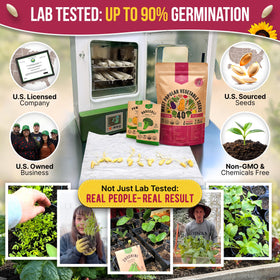 Seed packets neatly arranged inside Organo Republic kit for easy planting