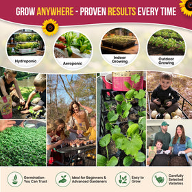 Organo Republic seed pack showing high germination potential in tests