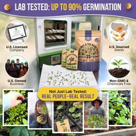 Organo Republic anise seeds pack image for flavorful teas and cooking