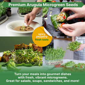 Organo Republic arugula guide with QR code for easy growing