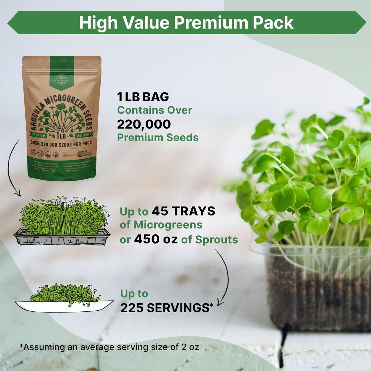 Organo Republic arugula microgreens ready to harvest
