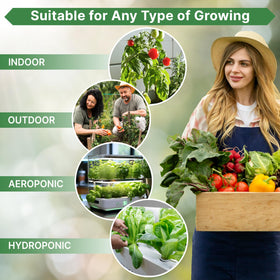 Organo Republic oregano seeds for fresh, fragrant culinary herbs.