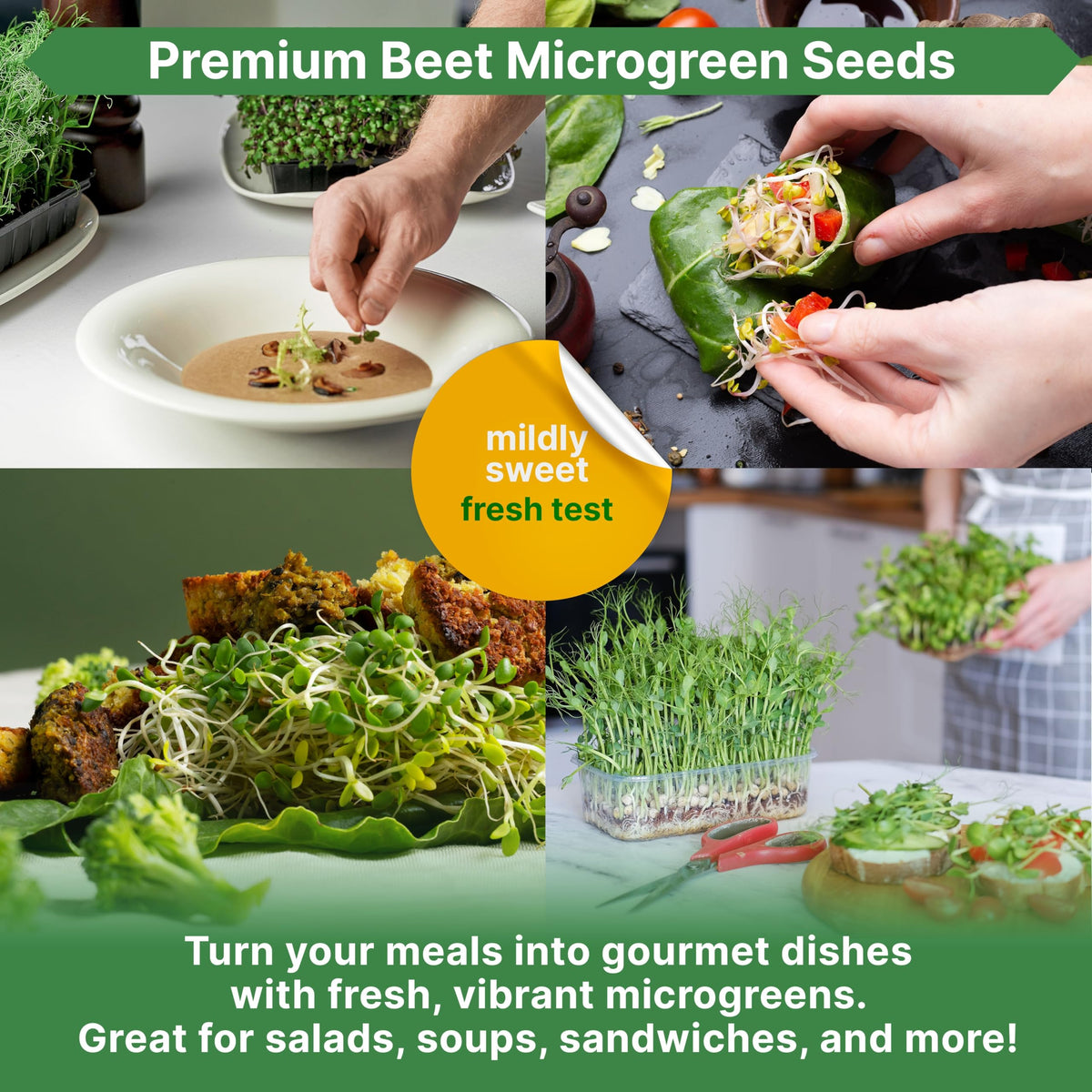 Organo Republic beet microgreens used as a salad garnish