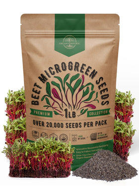 Organo Republic beet sprouting seeds in a bulk bag for easy home growing