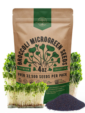 Organo Republic broccoli sprouting seeds in a bulk bag for easy planting