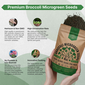 Organo Republic bulk heirloom seeds packaging supports long-term storage