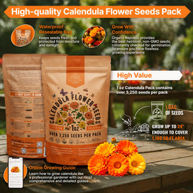 Organo Republic calendula bloom close-up shows bright orange-yellow hues for vivid garden displays.