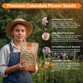 Bright calendula blooms add warm color to garden borders.