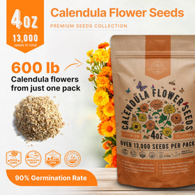 Close-up of waterproof resealable bag protecting seeds.