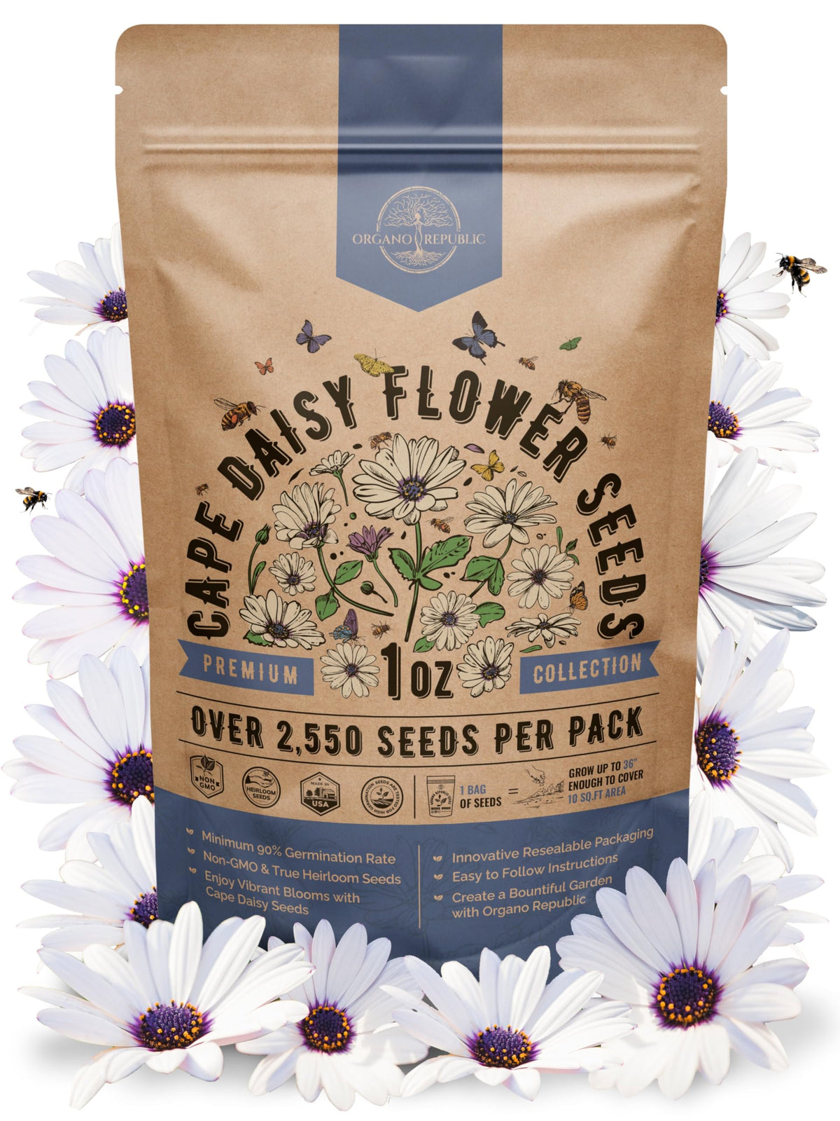 Organo Republic Cape Daisy Seeds Pack front view for easy garden planning
