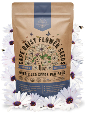 Organo Republic Cape Daisy Seeds Pack front view for easy garden planning