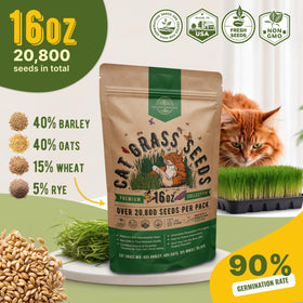 Indoor test showing Organo Republic Cat Grass Seeds Mix 90% germination
