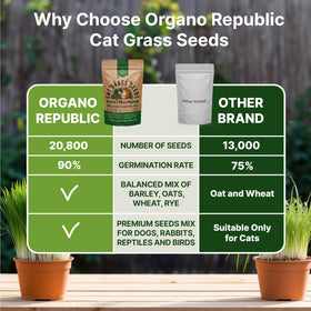 Indoor tray setup with Organo Republic Cat Grass Seeds Mix seeds for easy growing