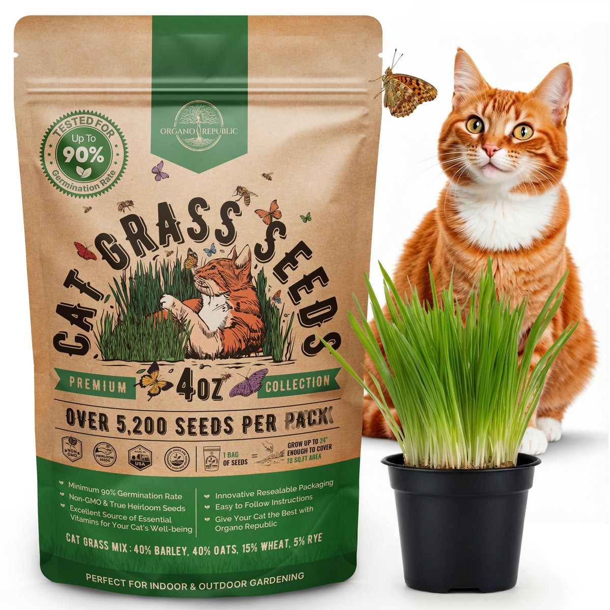 Organo Republic cat grass seeds mix pack with high germination potential for indoor growing.