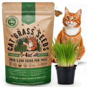 Organo Republic cat grass seeds mix pack with high germination potential for indoor growing.