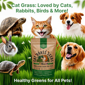 Organo Republic Cat Grass Seeds Mix supports multi-pet households including cats and rabbits