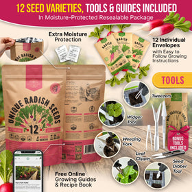 Organo Republic Cherry Belle radish seeds for quick indoor or outdoor harvests.