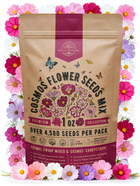 Organo Republic cosmos seeds pack 1oz for indoor and outdoor planting.
