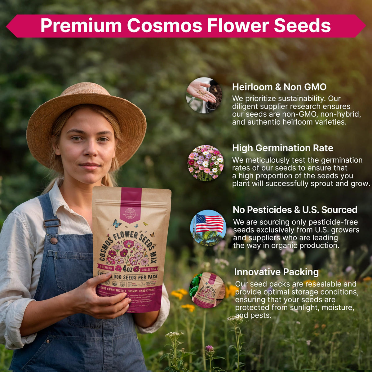 Cosmos flowers attracting pollinators in a sunny garden