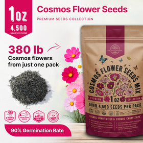 Organo Republic cosmos seeds QR guide links to online growing tips.