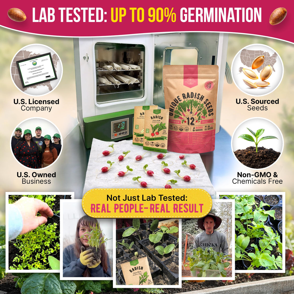 Organo Republic Daikon radish seeds ideal for fresh crunch in meals.