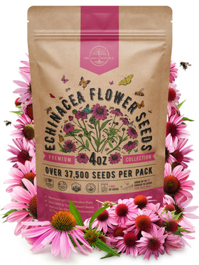 Organo Republic echinacea seeds pack 4oz ready for planting in gardens