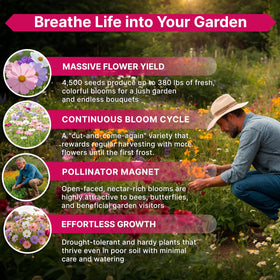 Organo Republic Florida family-owned facility sources premium cosmos seeds.