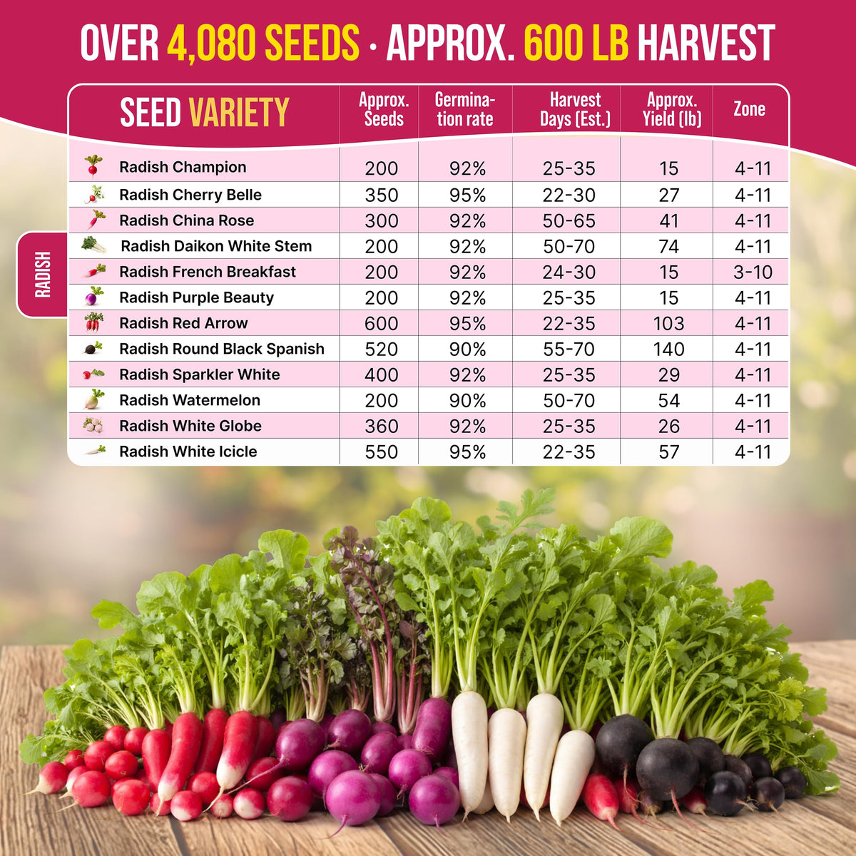 Organo Republic French Breakfast radish seeds yield crisp roots fast.