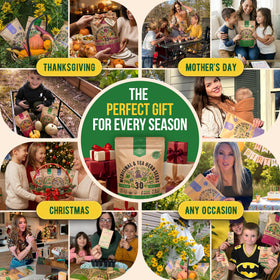 Organo Republic garden harvest scene with fresh herbs and flavor ideas