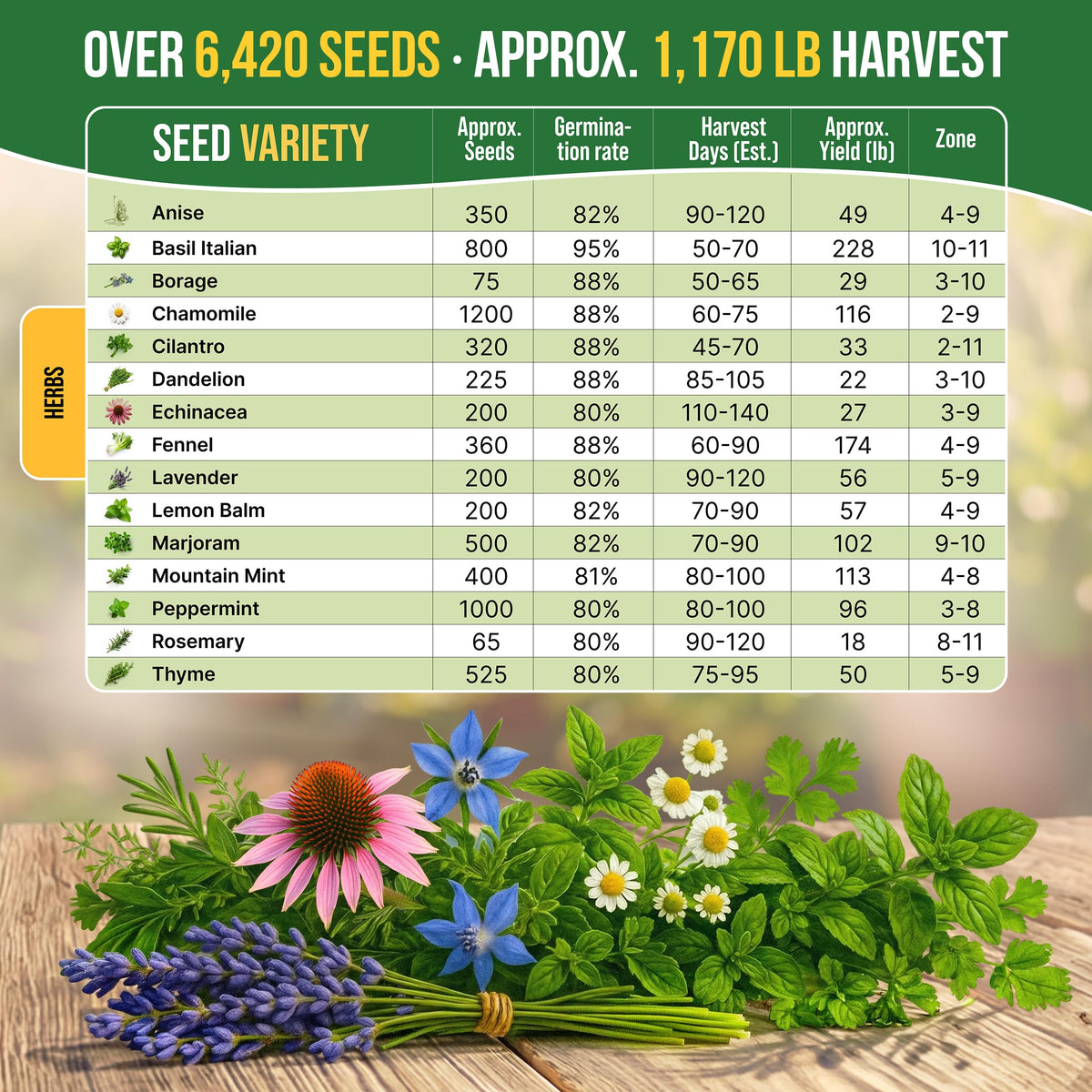Germination-rate tested Organo Republic seeds offer strong sprouting potential
