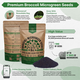 Organo Republic heirloom, non-GMO broccoli seeds in bulk for reliable sprouts