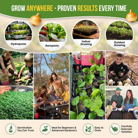 Organo Republic heirloom seeds with high viability for fresh greens
