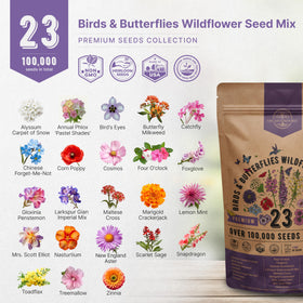 Organo Republic heirloom wildflowers germinate reliably with strong sprouts