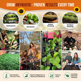 Organo Republic seeds with high germination rate image suggesting reliable sprouting