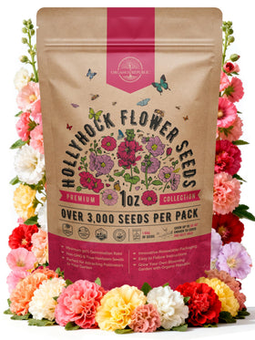 Organo Republic hollyhock seeds packet 1oz ready for outdoor planting and vibrant borders.