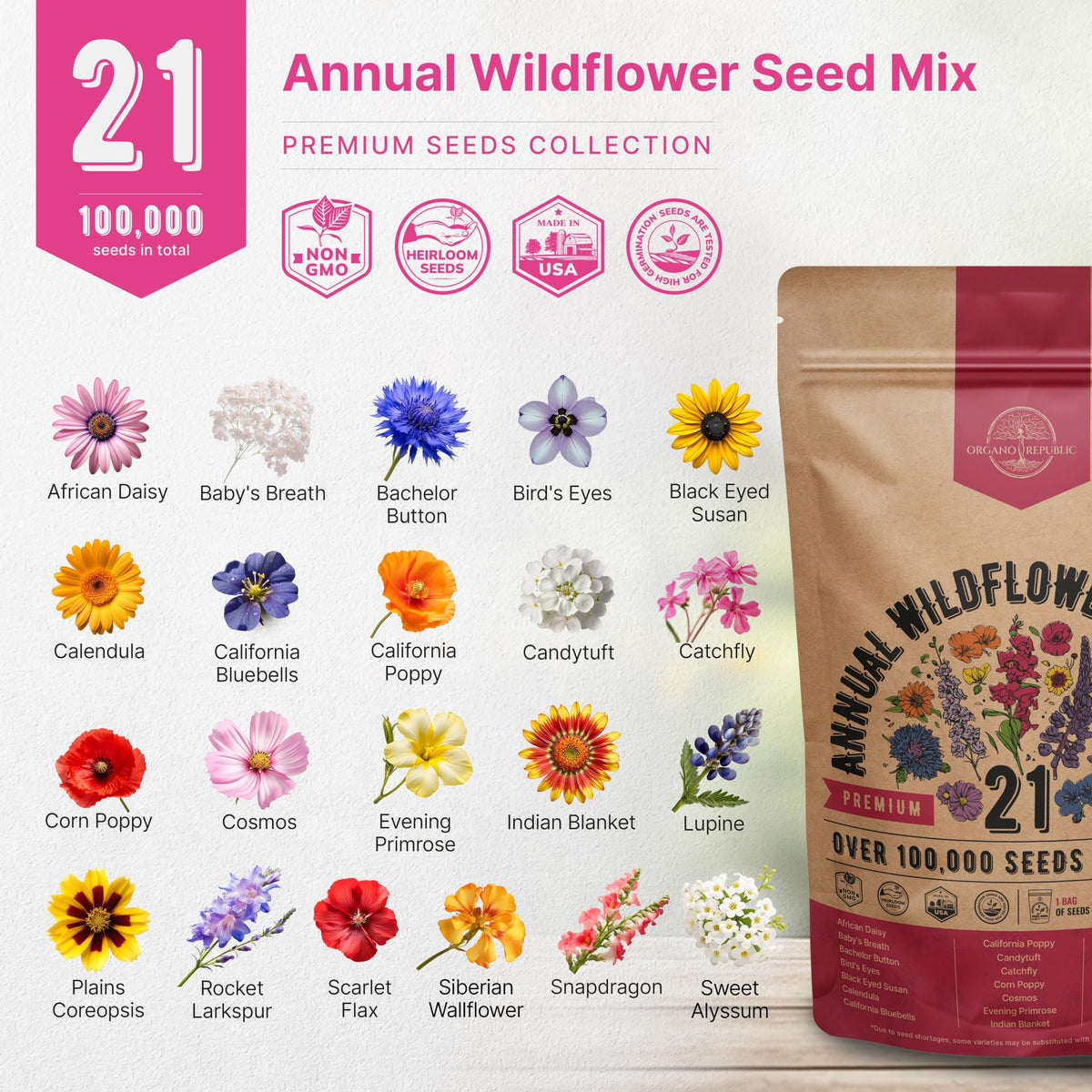 Organo Republic indoor window garden with wildflowers for cheerful indoor greenery.