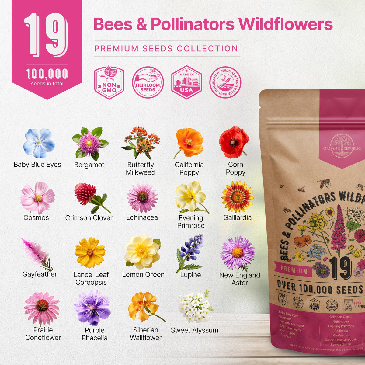 Organo Republic indoor window garden showcasing wildflowers for small spaces.