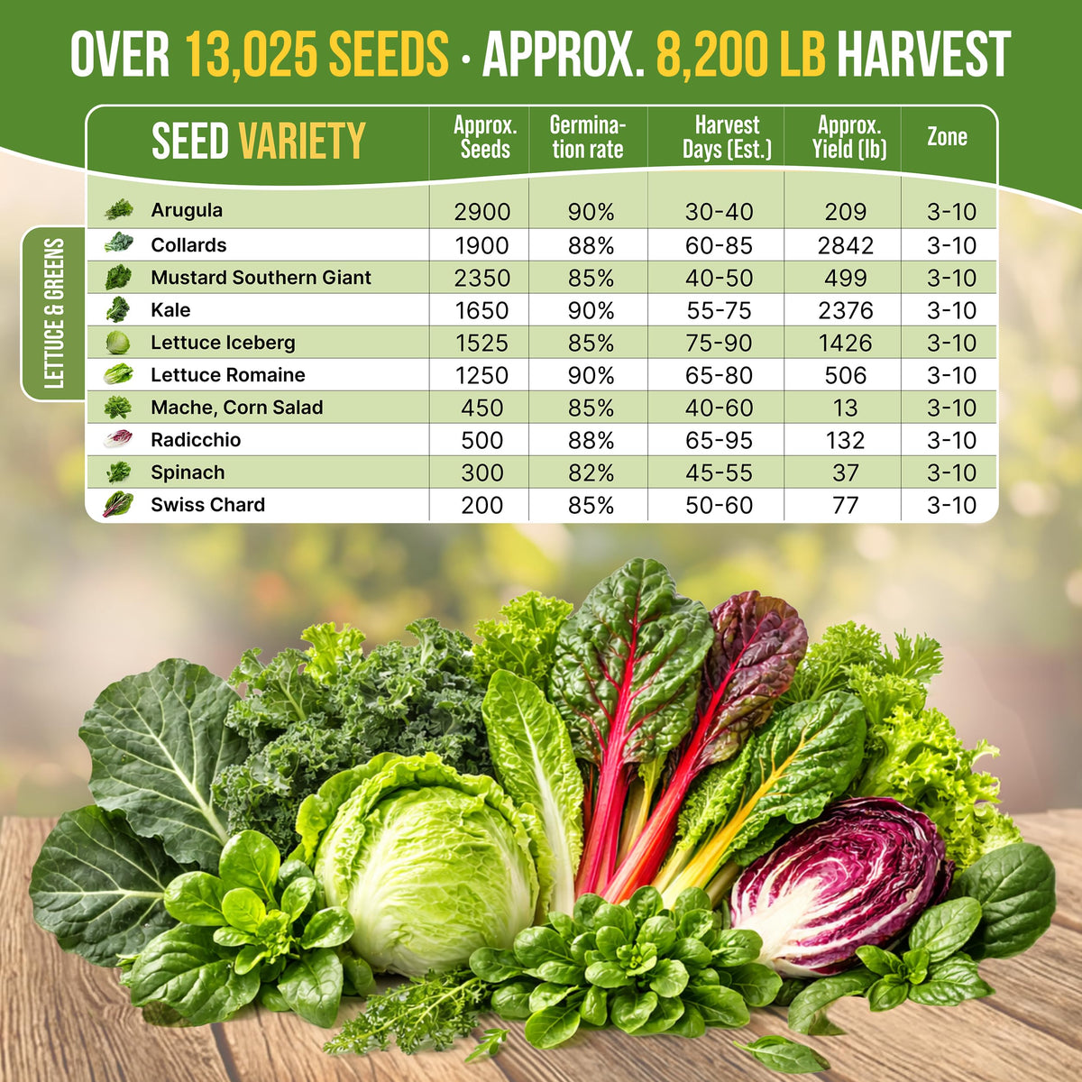 Organo Republic kale-seeds image emphasizing sturdy plants for leafy salads.