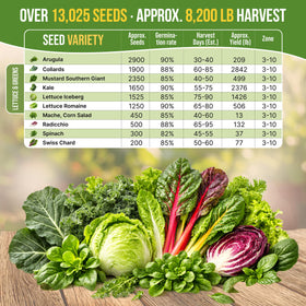 Organo Republic kale-seeds image emphasizing sturdy plants for leafy salads.