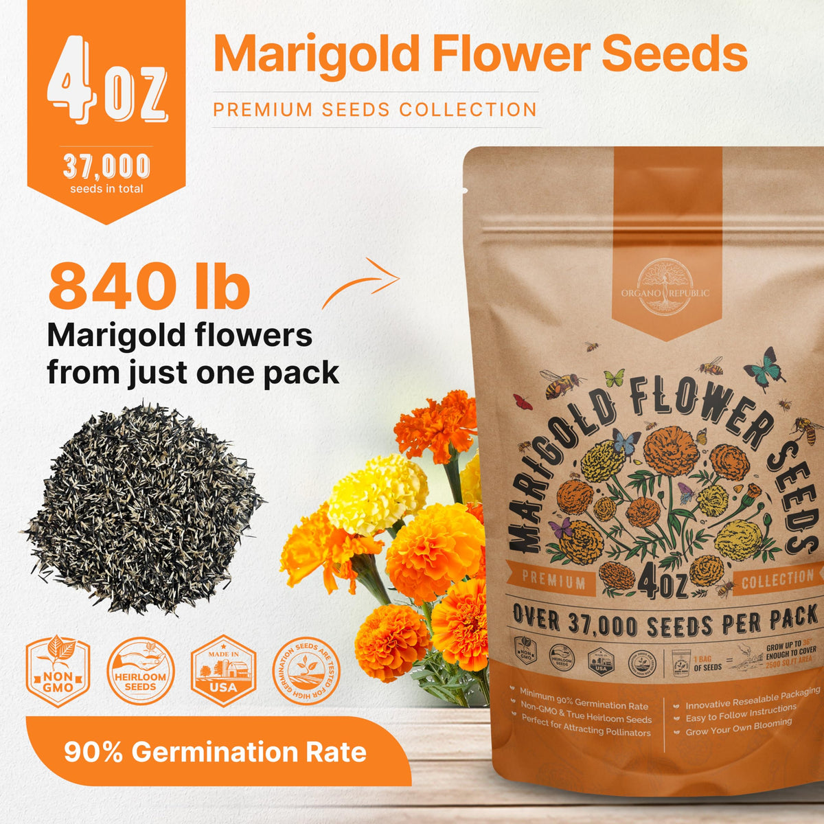 Marigold seeds in germination tray demonstrating strong germination potential