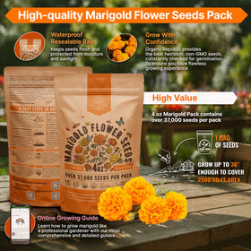 Organo Republic marigold seeds pack back with growing guide QR code