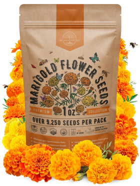 Organo Republic marigold seeds pack front view for vibrant outdoor blooms