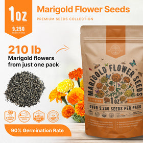Organo Republic marigold seeds pack shows high germination rate potential