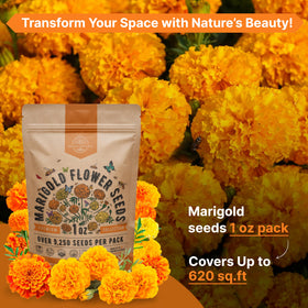 Organo Republic marigold seeds pack ideal for indoor seed starting trays