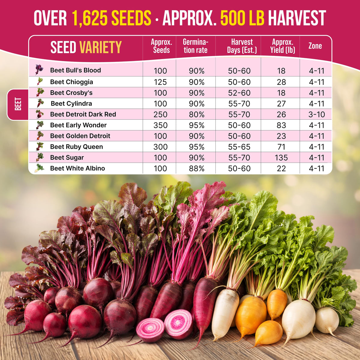 Organo Republic mini gardening tools included for easy beet planting.