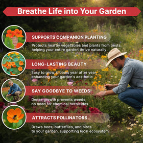 Organo Republic Nasturtium seeds pack suitable for indoor and outdoor planting